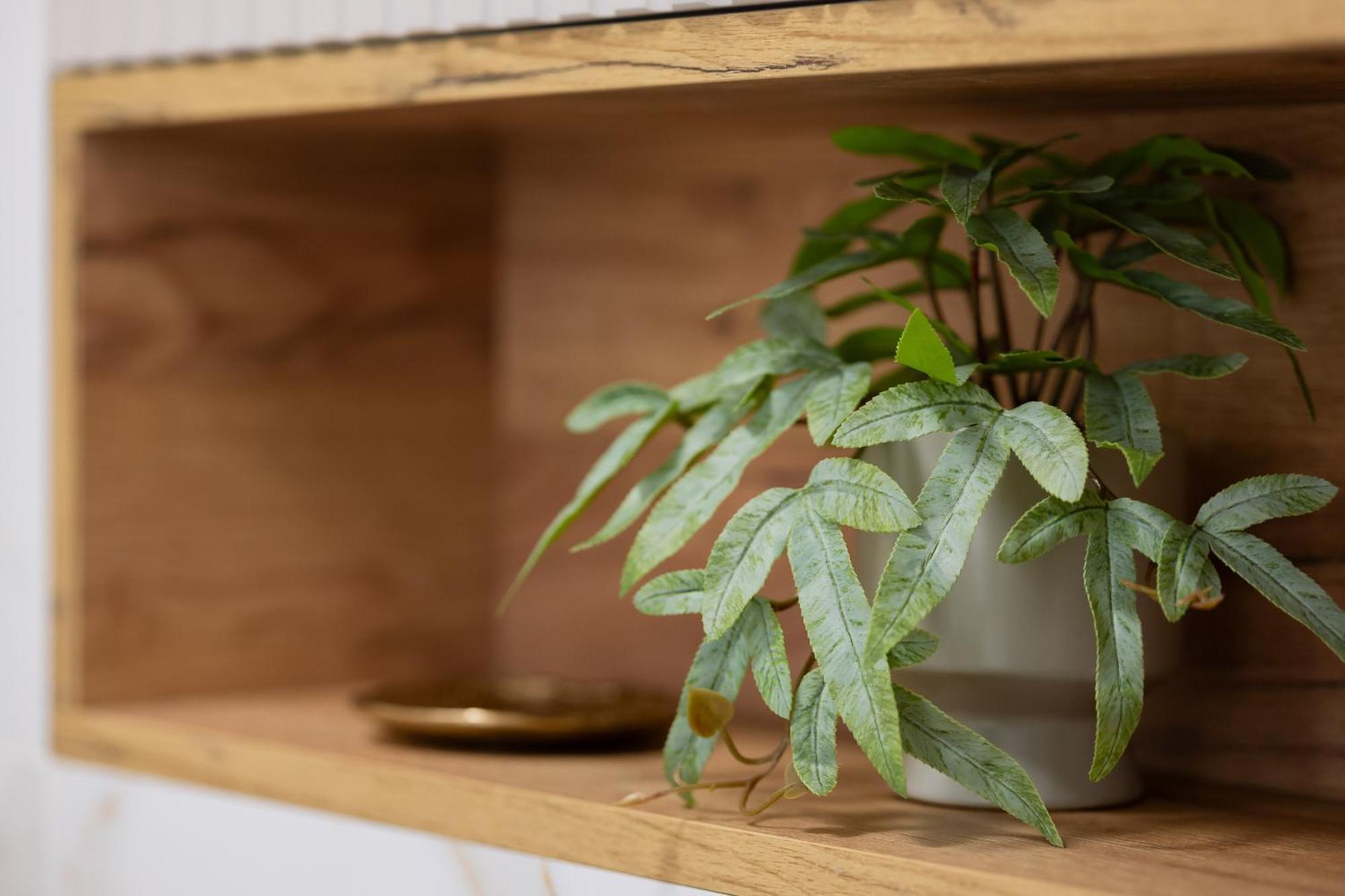 Elegant Grojecka In By Renters * Warszawa